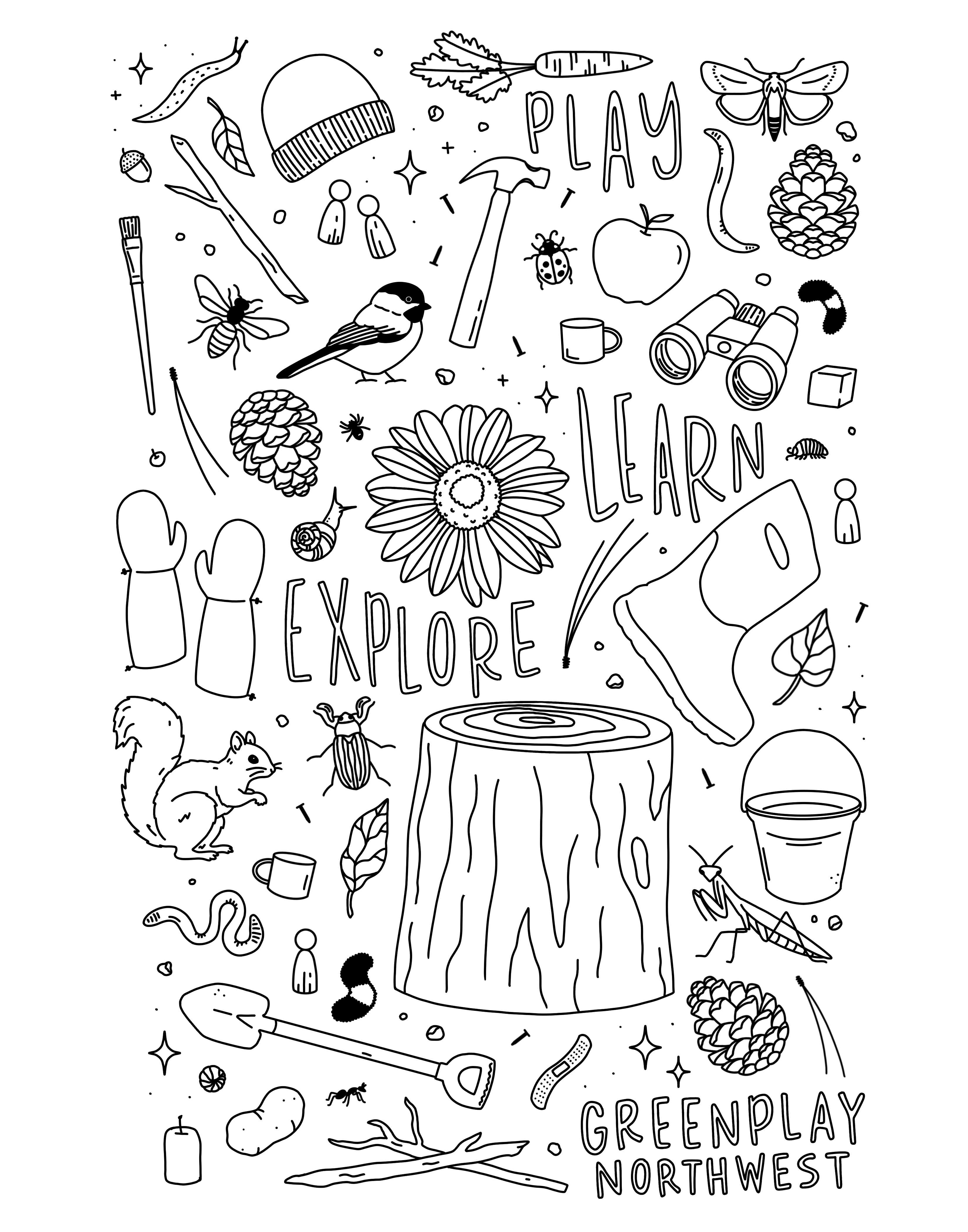 Play Learn Explore — hand drawn nature doodles for GreenPlay Northwest